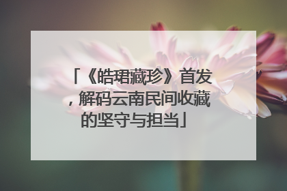 《皓珺藏珍》首发，解码云南民间收藏的坚守与担当