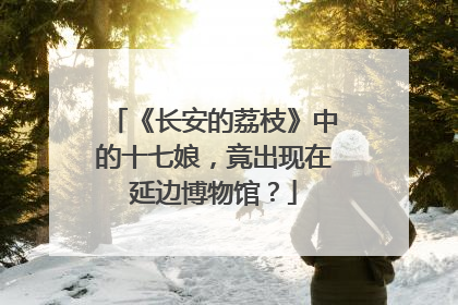 《长安的荔枝》中的十七娘，竟出现在延边博物馆？