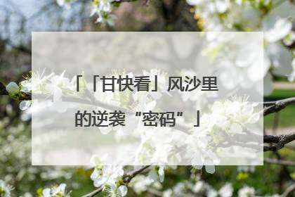 「甘快看」风沙里的逆袭“密码”