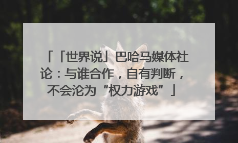 「世界说」巴哈马媒体社论：与谁合作，自有判断，不会沦为“权力游戏”