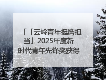 「云岭青年挺膺担当」2025年度新时代青年先锋奖获得者王敏奇——澜沧江上好渔人
