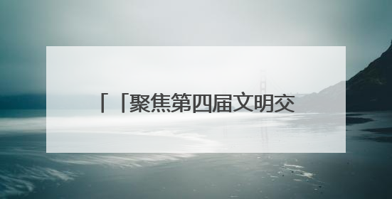 「聚焦第四届文明交流互鉴对话会」外宾团组在敦煌市考察