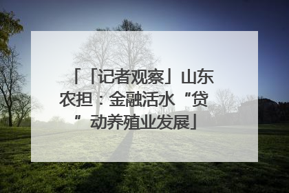 「记者观察」山东农担：金融活水“贷”动养殖业发展