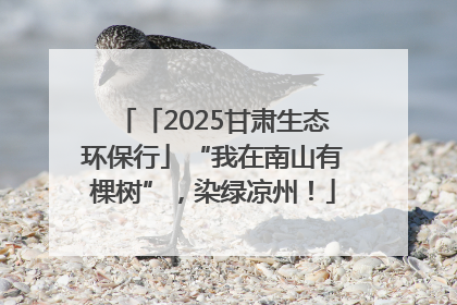 「2025甘肃生态环保行」“我在南山有棵树”，染绿凉州！