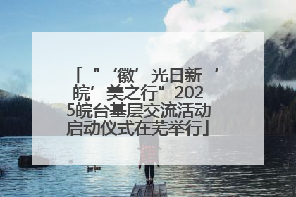 “‘徽’光日新‘皖’美之行”2025皖台基层交流活动启动仪式在芜举行