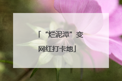 “烂泥潭”变网红打卡地