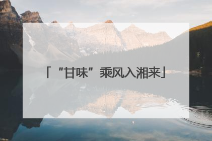 “甘味”乘风入湘来