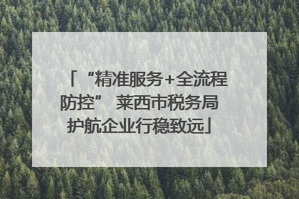 “精准服务+全流程防控” 莱西市税务局护航企业行稳致远