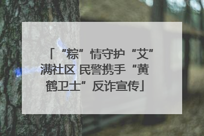 “粽”情守护“艾”满社区 民警携手“黄鹤卫士”反诈宣传