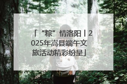 “粽”情洛阳丨2025年嵩县端午文旅活动精彩纷呈