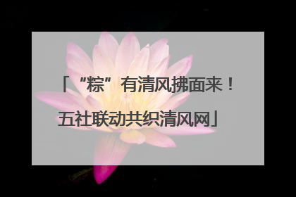 “粽”有清风拂面来！五社联动共织清风网