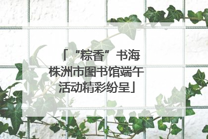 “粽香”书海 株洲市图书馆端午活动精彩纷呈