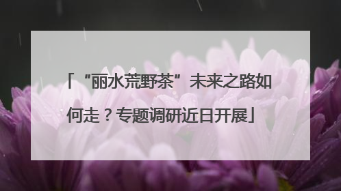 “丽水荒野茶”未来之路如何走？专题调研近日开展
