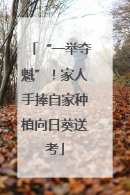 “一举夺魁”！家人手捧自家种植向日葵送考