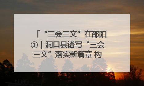 “三会三文”在邵阳③｜洞口县谱写“三会三文”落实新篇章 构建协同联动大格局