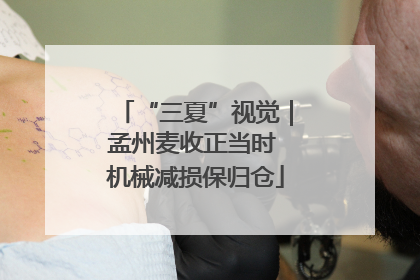 “三夏”视觉｜孟州麦收正当时 机械减损保归仓