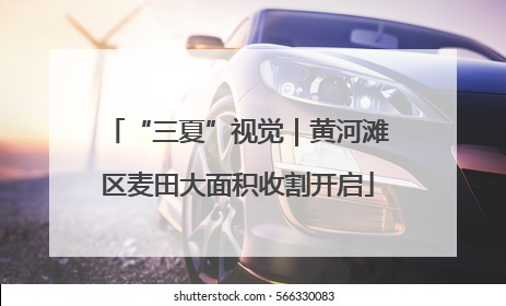“三夏”视觉｜黄河滩区麦田大面积收割开启