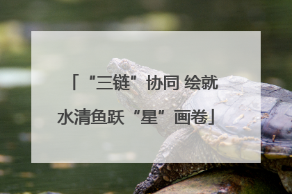 “三链”协同 绘就水清鱼跃“星”画卷