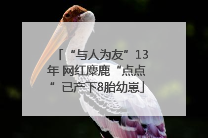 “与人为友”13年 网红麋鹿“点点”已产下8胎幼崽