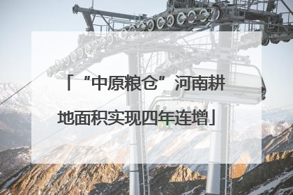 “中原粮仓”河南耕地面积实现四年连增