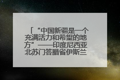 “中国新疆是一个充满活力和希望的地方”——印度尼西亚北苏门答腊省伊斯兰教代表团参访新疆