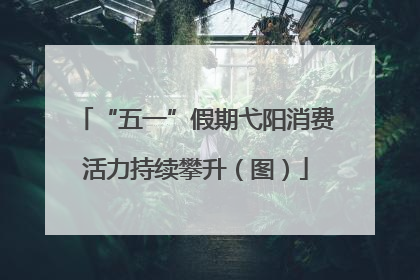 “五一”假期弋阳消费活力持续攀升（图）