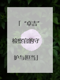 “卓吉”检察官的守护与担当