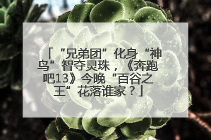 “兄弟团”化身“神鸟”智夺灵珠，《奔跑吧13》今晚“百谷之王”花落谁家？