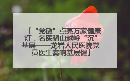 “党徽”点亮万家健康灯，名医翻山越岭“沉”基层——龙岩人民医院党员医生奏响基层健