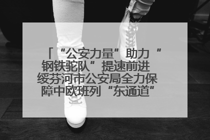 “公安力量”助力“钢铁驼队”提速前进 绥芬河市公安局全力保障中欧班列“东通道”绥芬河隧道贯通