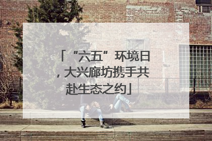 “六五”环境日，大兴廊坊携手共赴生态之约