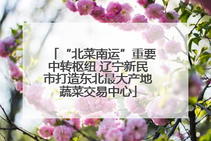 “北菜南运”重要中转枢纽 辽宁新民市打造东北最大产地蔬菜交易中心