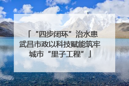 “四步闭环”治水患 武昌市政以科技赋能筑牢城市“里子工程”
