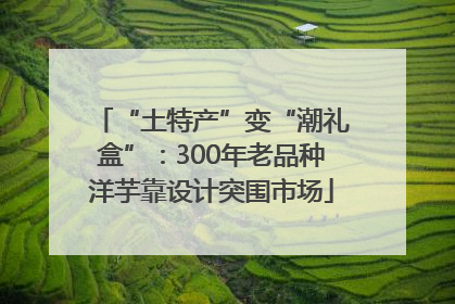 “土特产”变“潮礼盒”：300年老品种洋芋靠设计突围市场