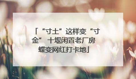 “寸土”这样变“寸金” 十堰闲置老厂房蝶变网红打卡地