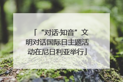 “对话·知音”文明对话国际日主题活动在尼日利亚举行