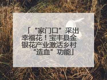 “家门口”采出幸福花！宝丰县金银花产业激活乡村“造血”功能