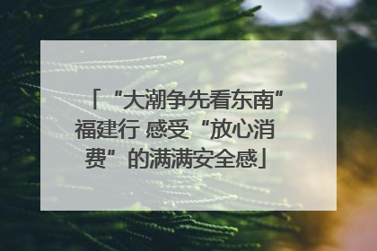 “大潮争先看东南”福建行 感受“放心消费”的满满安全感