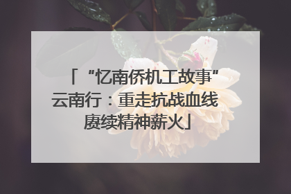 “忆南侨机工故事”云南行：重走抗战血线 赓续精神薪火