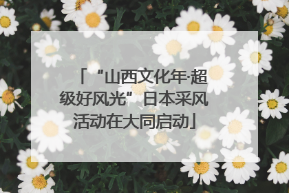 “山西文化年·超级好风光”日本采风活动在大同启动