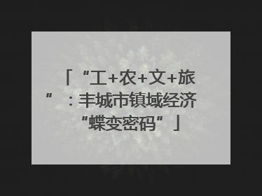 “工+农+文+旅”：丰城市镇域经济“蝶变密码”