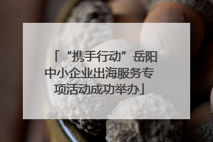 “携手行动”岳阳中小企业出海服务专项活动成功举办