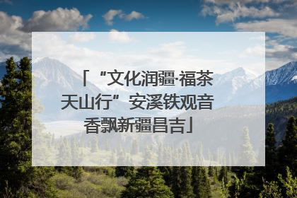 “文化润疆·福茶天山行”安溪铁观音香飘新疆昌吉
