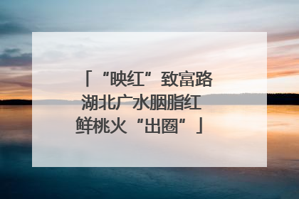 “映红”致富路 湖北广水胭脂红鲜桃火“出圈”