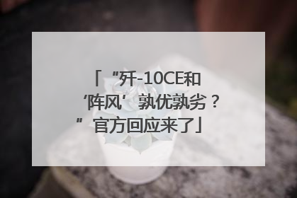 “歼-10CE和‘阵风’孰优孰劣？”官方回应来了