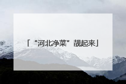 “河北净菜”靓起来