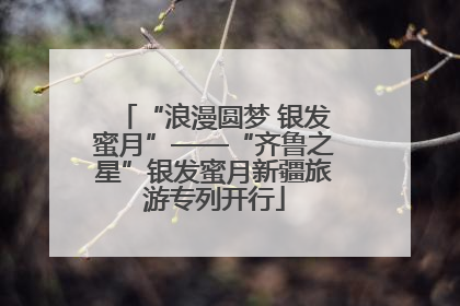 “浪漫圆梦 银发蜜月”——“齐鲁之星”银发蜜月新疆旅游专列开行
