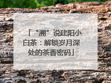 “溯”说建阳小白茶：解锁岁月深处的茶香密码