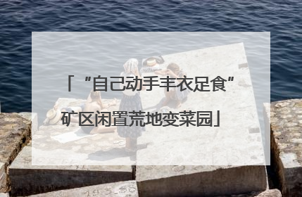 “自己动手丰衣足食”矿区闲置荒地变菜园