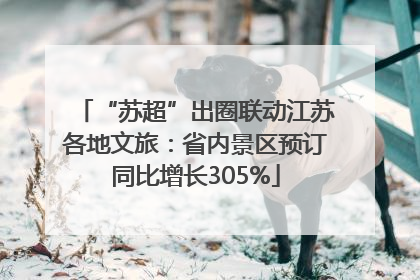 “苏超”出圈联动江苏各地文旅：省内景区预订同比增长305%